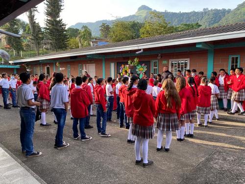 Formación en Primaria