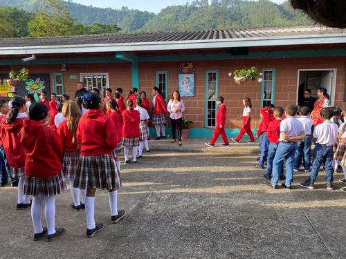 Formación en Primaria