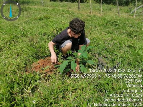 Jornada Reforestación