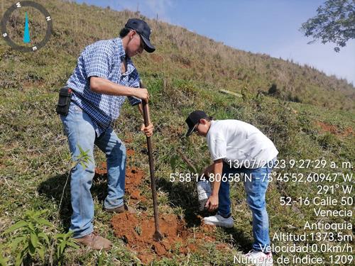 Jornada Reforestación